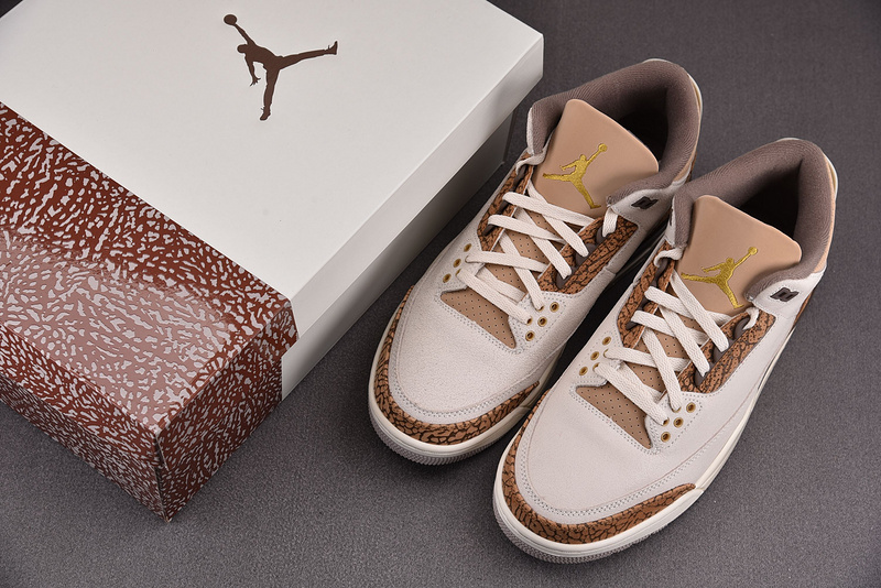 Air Jordan 3 "Palamino" CT8532-102