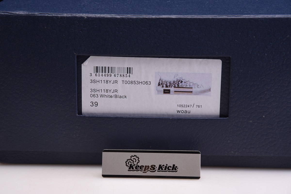 DIOR B23 SNEAKER