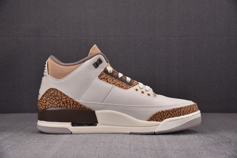 Air Jordan 3 "Palamino" CT8532-102