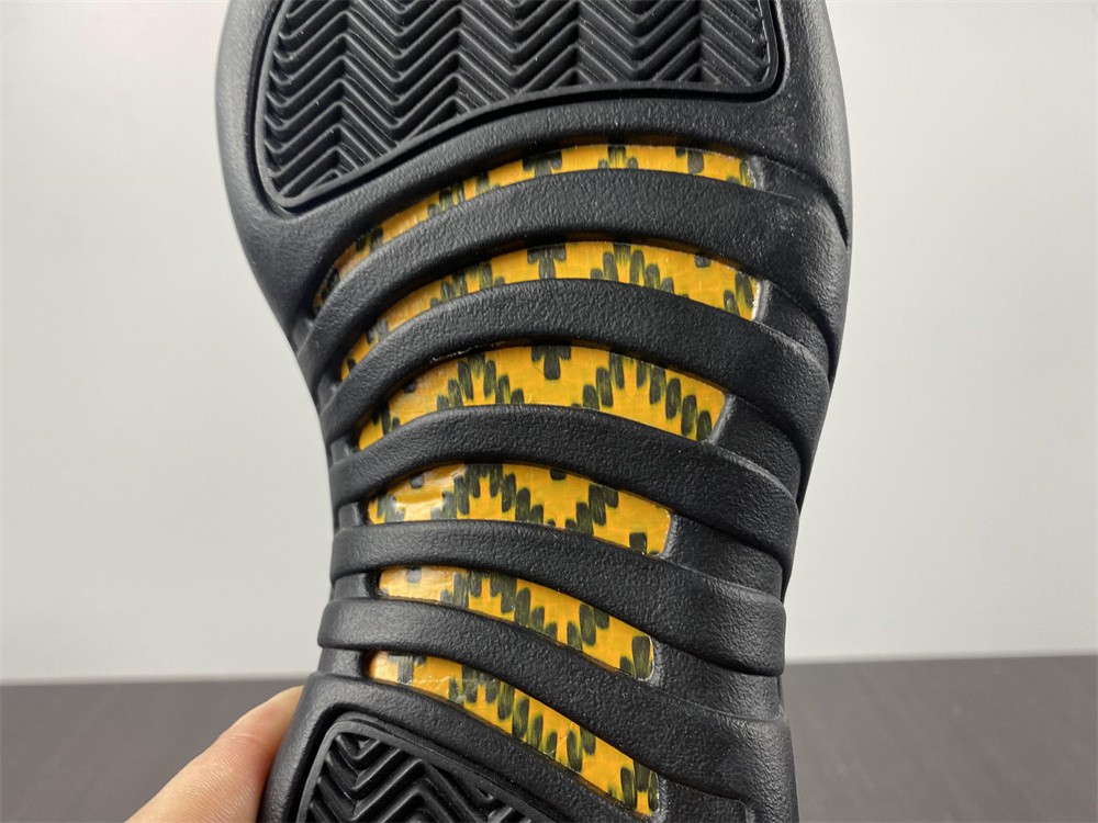 Air Jordan 12 Retro 