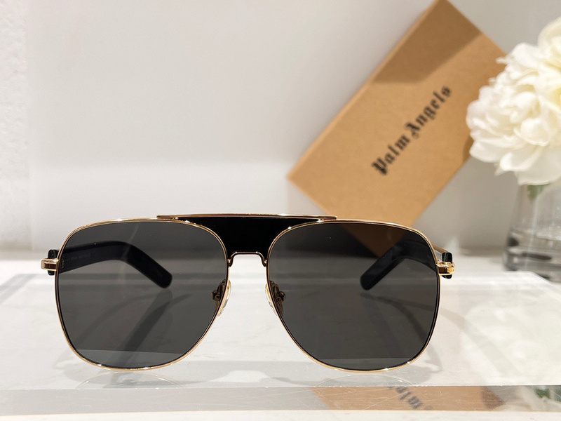 PALM ANGLES SUNGLASSES 202304007