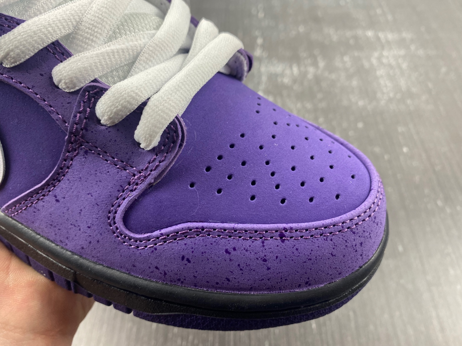Concepts x Dunk Low SB