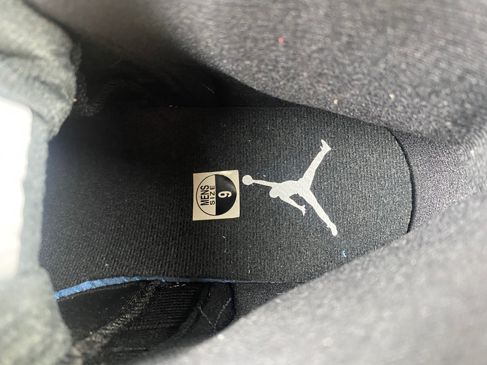 Air Jordan 12 Retro