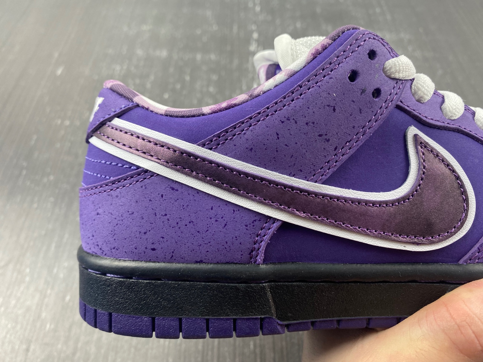 Concepts x Dunk Low SB