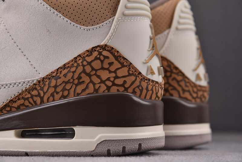 Air Jordan 3 "Palamino" CT8532-102