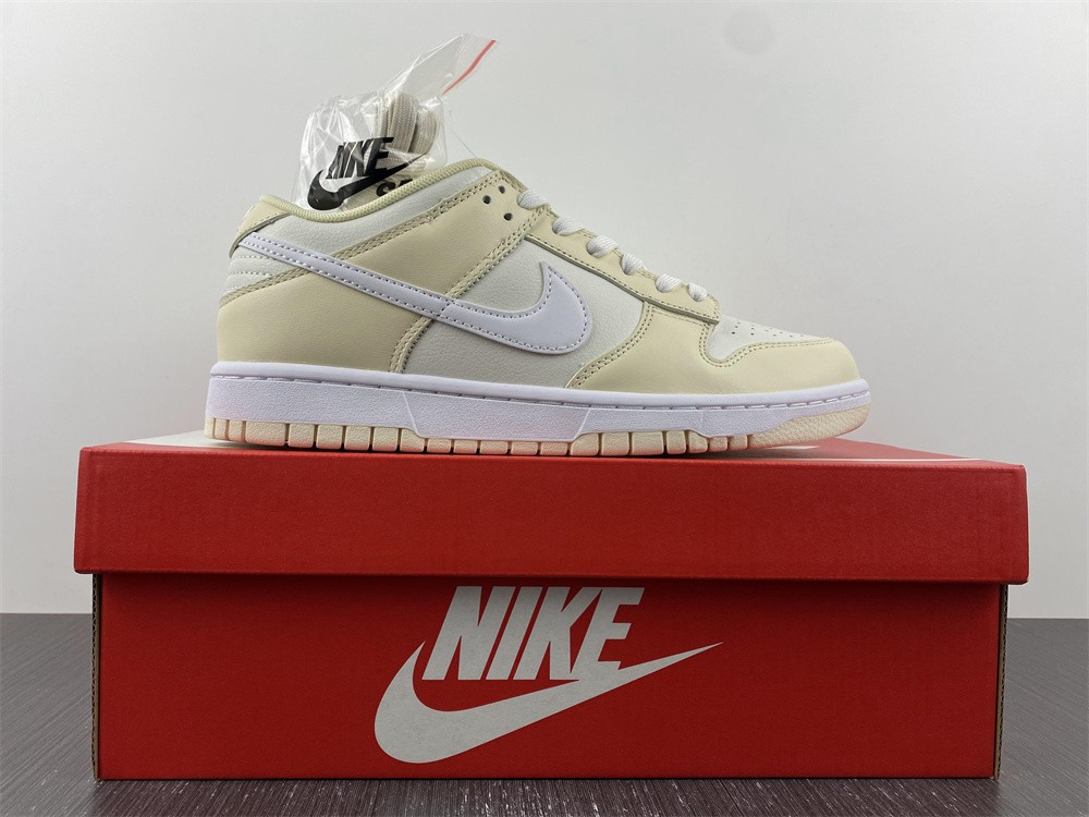 Nike Dunk Low 