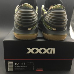 Air Jordan 32