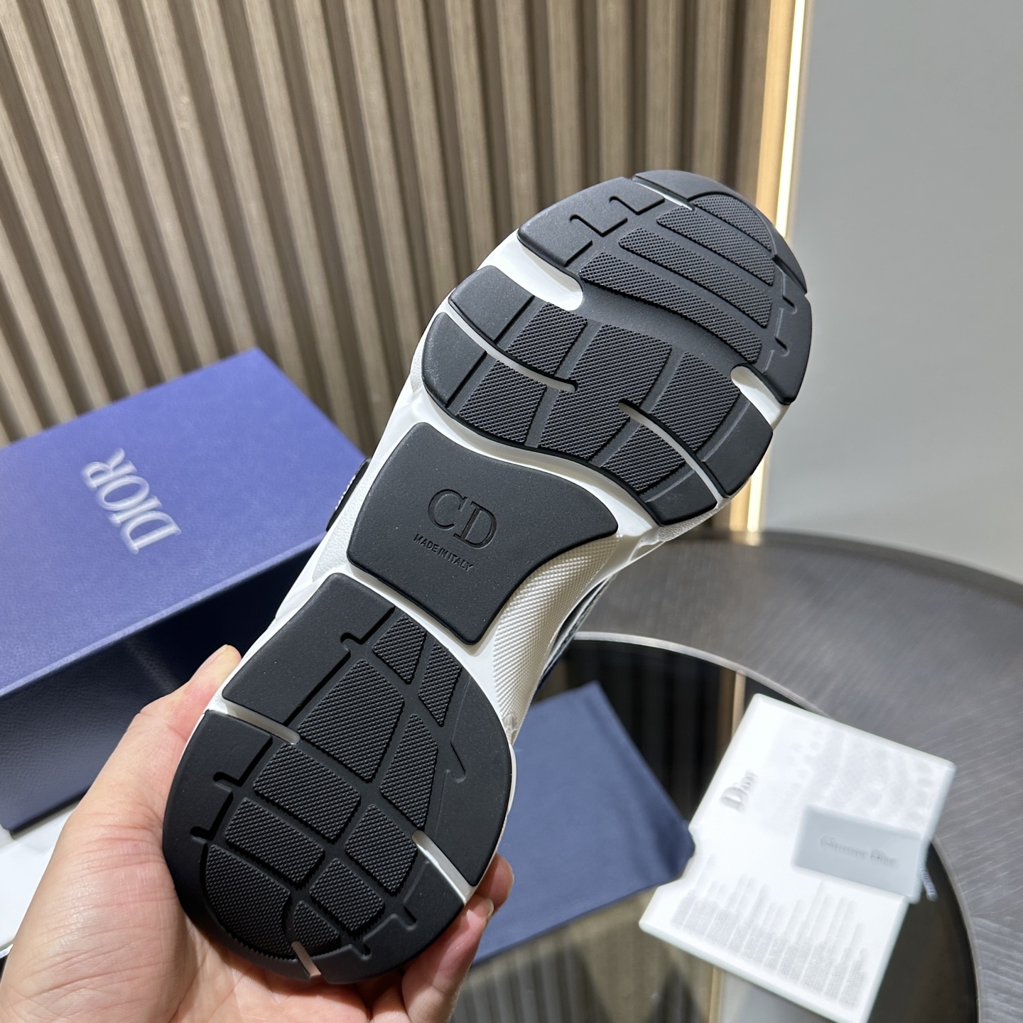 DIOR B22 SNEAKER