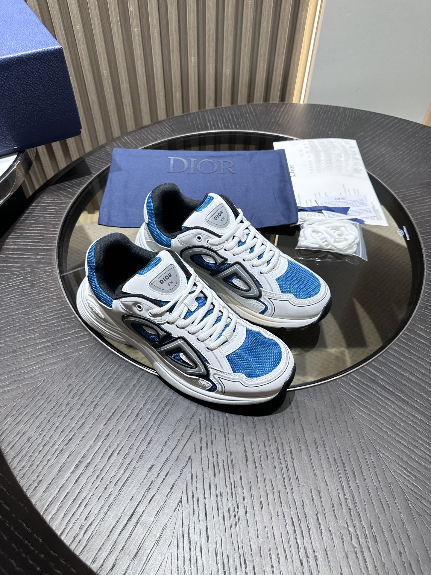 DIOR B30 SNEAKER