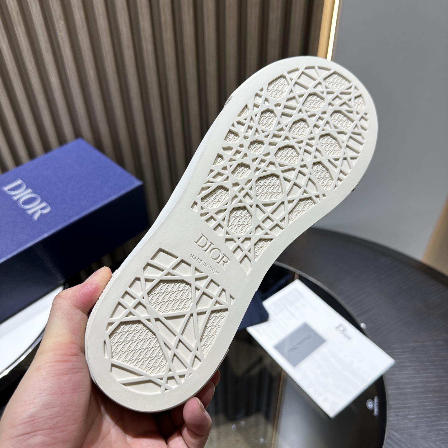 DIOR B33 SNEAKER