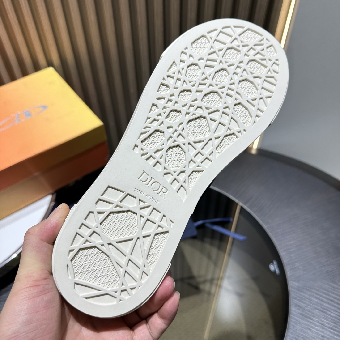 DIOR B33 SNEAKER