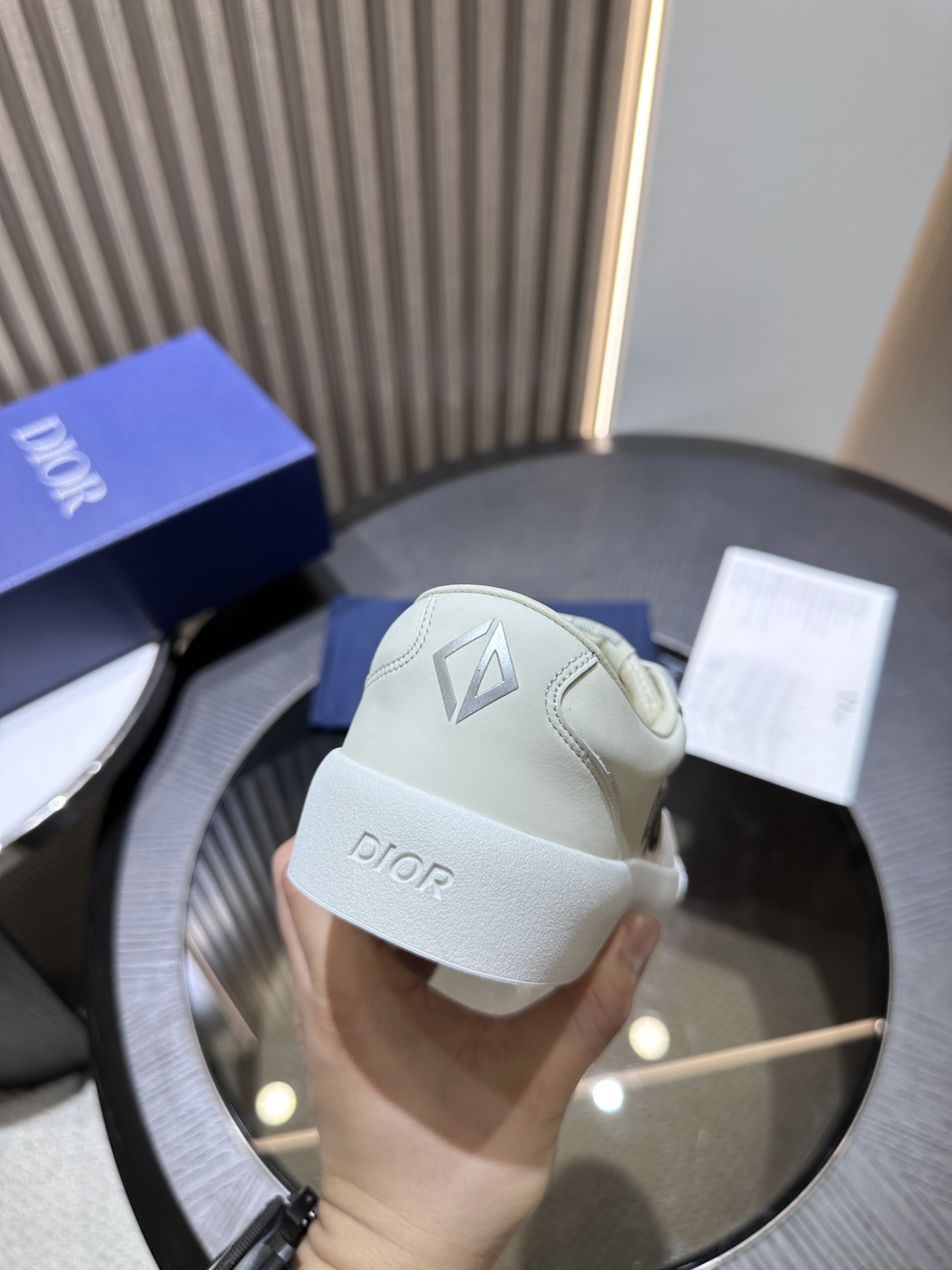 DIOR B101 SNEAKER