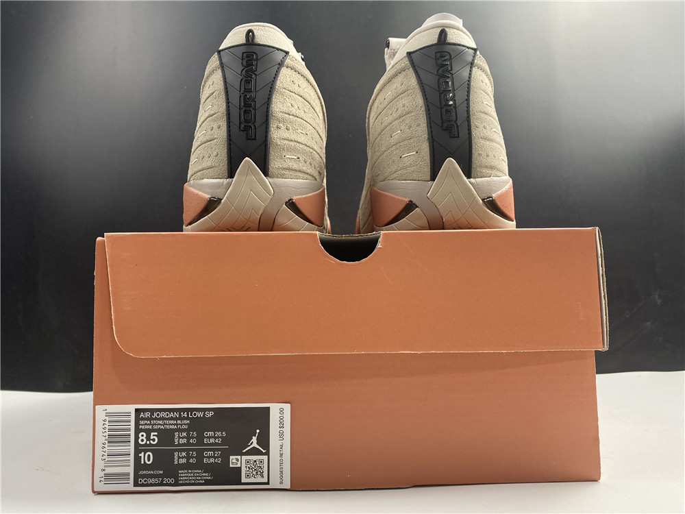Jordan Mens Air Jordan 14 Retro Low DC9857 200