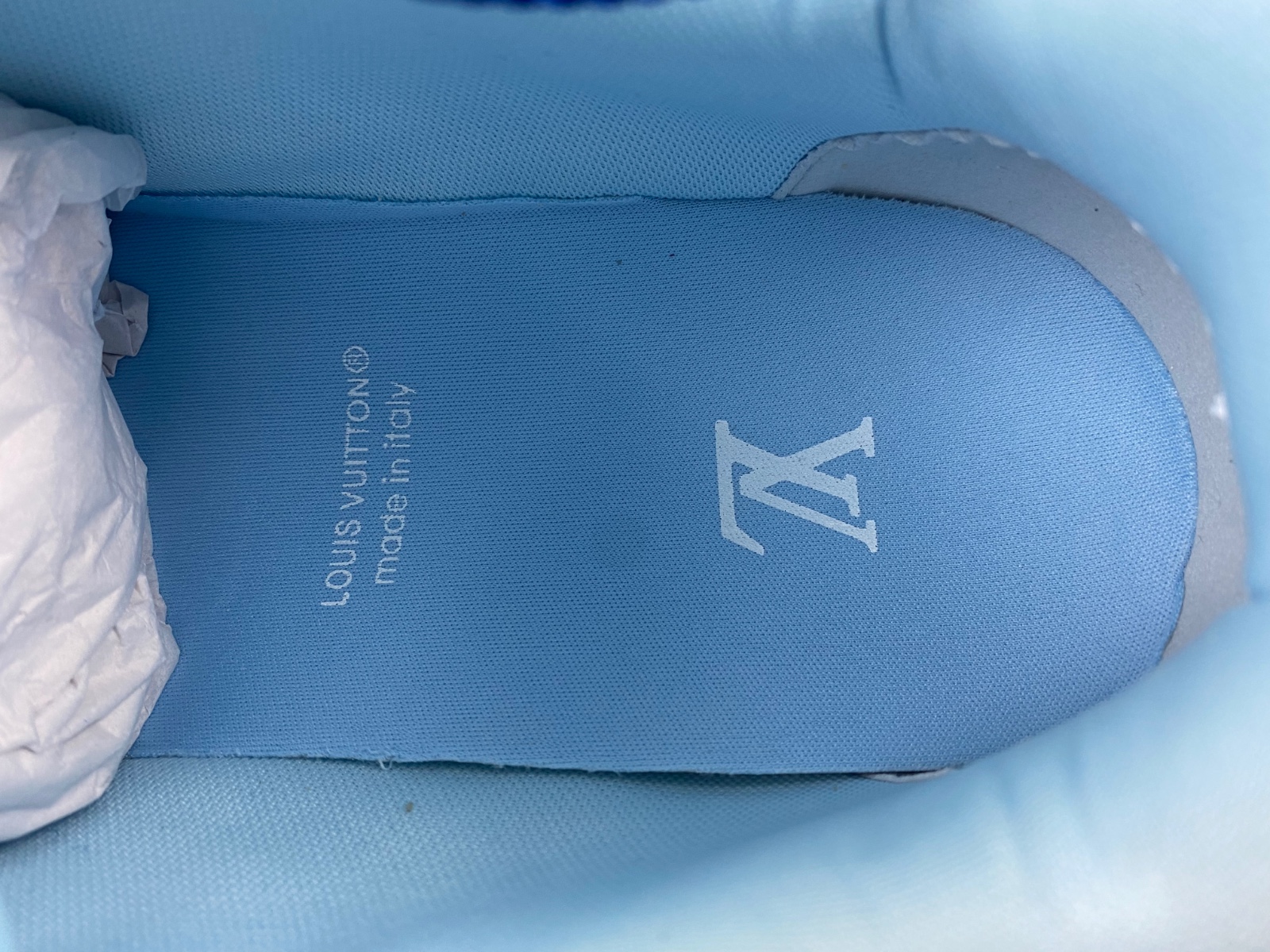 LV Skate Sneaker